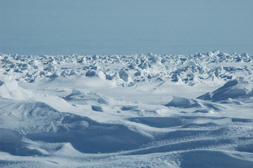 Hielo ártico marino y cúmulos de nieve en Bering Strait, en marzo de 2009. © F.K. Wiese
